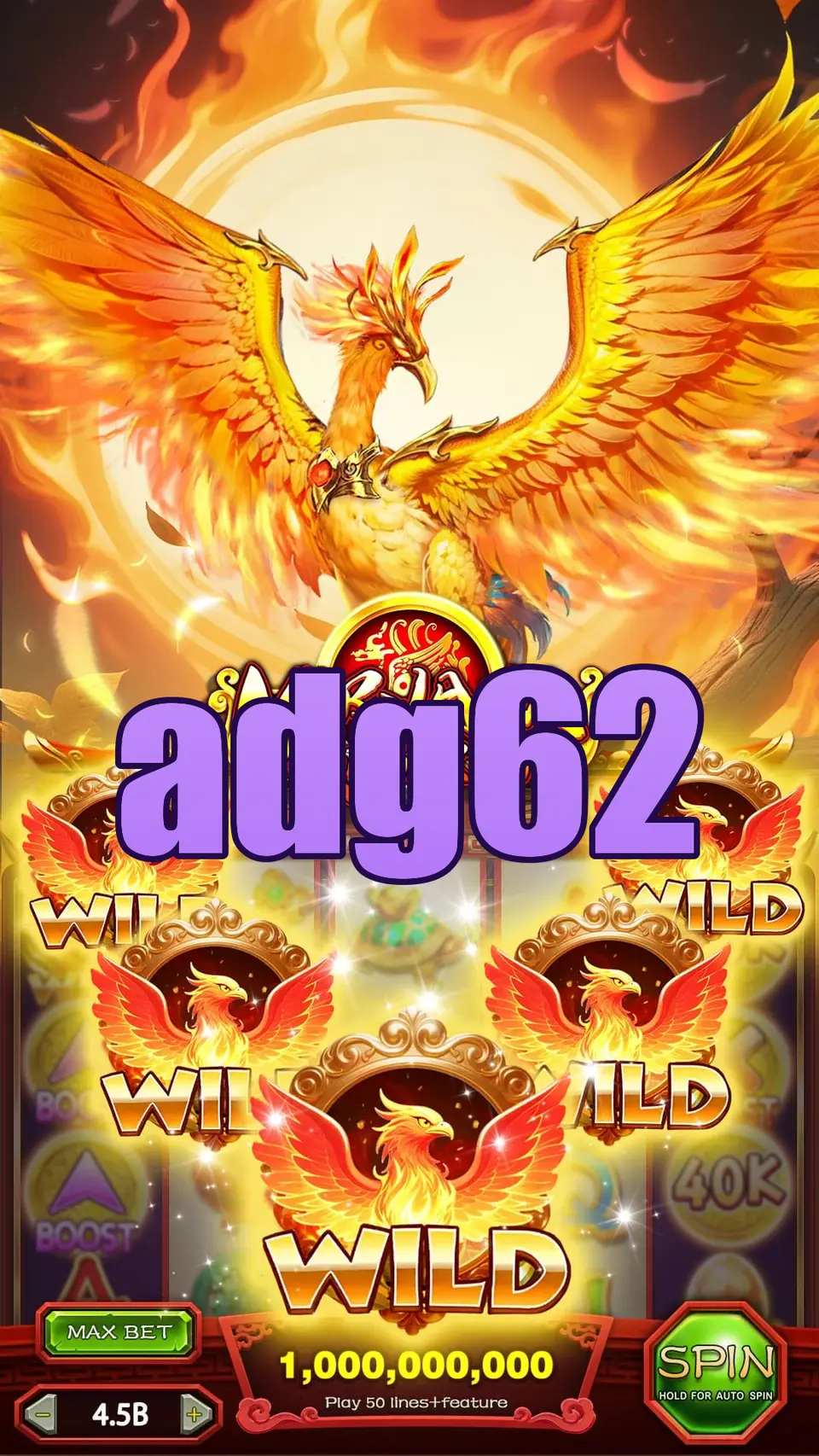 adg62 Masuk